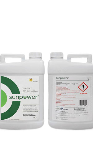 sunpower 3.jpg