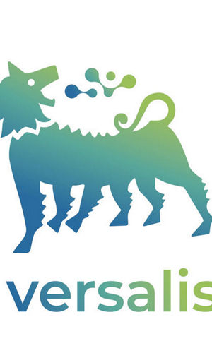 versalis_video_logo.jpg